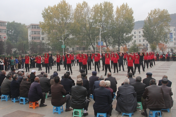 氣韻舒展的24式太極拳表演